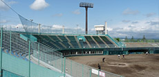 一関総合運動公園野球場